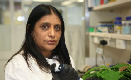 Professor Neena Mitter ... discovery will provide an environmentally sustainable alternative to chemicals and pesticides Professor Neena Mitter ... discovery will provide an environmentally sustainable alternative to chemicals and pesticides