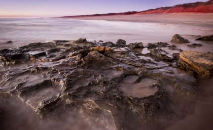 Dinosaur tracks in the Walmadany area. Credit: Damian Kelly