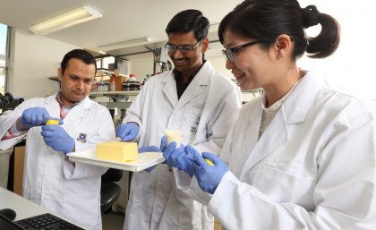 The nanoemulsions team is examining the characteristics of milk fat crystals The nanoemulsions team is examining the characteristics of milk fat crystals