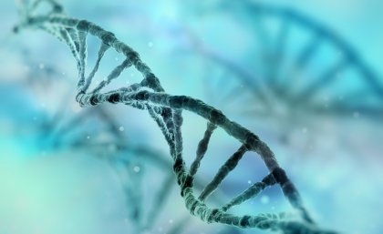 A total of 7280 bacterial and 623 archaeal genomes were obtained A total of 7280 bacterial and 623 archaeal genomes were obtained