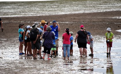 The Biodiversity Roadshow will include opportunities to get involved in citizen science activities