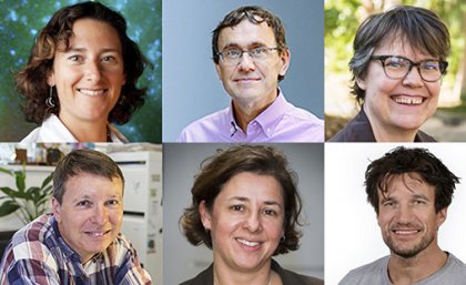 Headshots of the six ARC Laureate Fellows: Professor Tamara Davis, Professor Peter Visscher, Professor Christine Beveridge, Professor Bostjan Kobe, Professor Jolanda Jetten and Professor Hanns-Christoph Nägerl.