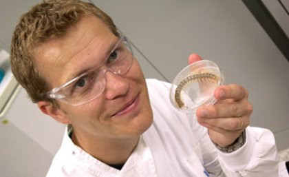 IMB researchers find centipede venom molecule that could treat pain IMB researchers find centipede venom molecule that could treat pain