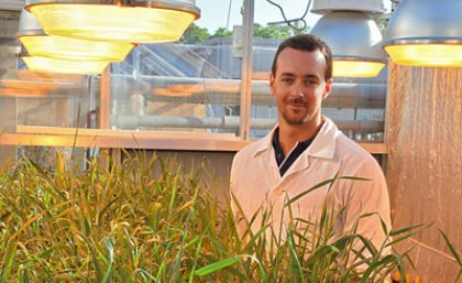 The University of Queensland’s Dr Lee Hickey and research team have discovered a gene that provides resistance to leaf rust in some barley variety adult plants.