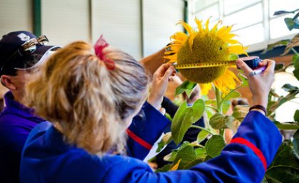 A Downlands College student participates in plant science activities during last year’s Weigh-In Day event. A Downlands College student participates in plant science activities during last year’s Weigh-In Day event.