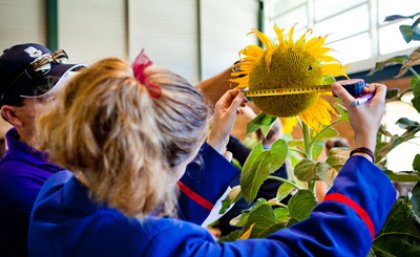 A Downlands College student participates in plant science activities during  last year’s Weigh-In Day event.