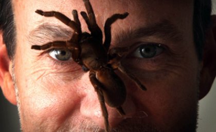 UQ Professor Glenn King gets up close to spiders for a project exploring the use of spider venom as an environmentally-friendly insecticide.