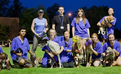 Clinical Studies Centre dogs and volunteer dog walkers took part in the Country Campus Challenge