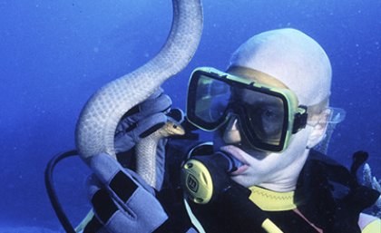 Professor Bryan Fry with the newly discovered sea snake