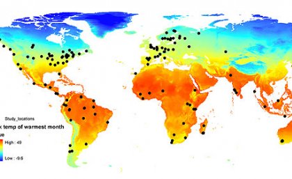 The magnitude of habitat loss/fragmentation effects were greatest in regions
with high maximum temperatures The magnitude of habitat loss/fragmentation effects were greatest in regions
with high maximum temperatures