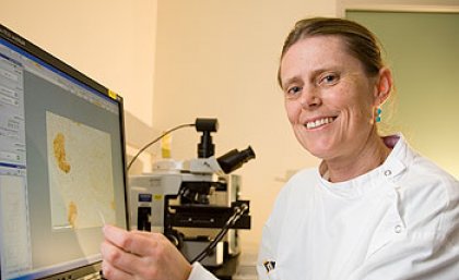 UQ's Professor Melissa Little, who along with Professor Ian Frazer has been appointed to a new panel which will oversee a 10-year strategic health and medical research plan for the nation