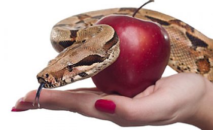 This year's UQ Work in Progress conference is themed around the seven deadly sins This year's UQ Work in Progress conference is themed around the seven deadly sins