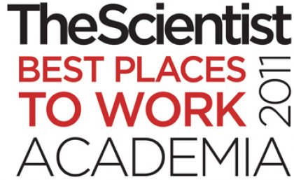This is the second year in a row that UQ has featured in the top 10 international Best Places to Work in Academia survey, after being a newcomer to the survey last year.