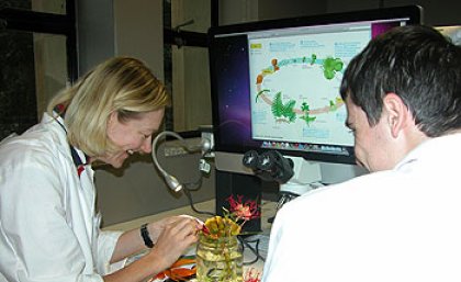 Dr Louise Kuchel from UQ's School of Biological Sciences working with a student in the UQ ASELL Biology Workshop