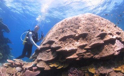 Stuart Kininmonth . . . has "a dream job" in tropical Queensland