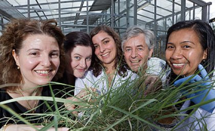 The team behind the MetalloTek research The team behind the MetalloTek research