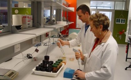 DEEDI scientists working on the QAAFI medicinal honey research project, Margaret Currie and Andrew Cusack, testing the infection-fighting power of an Australian native myrtle honey.