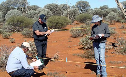Conducting fieldwork during the Advanced Rangeland Ecology course