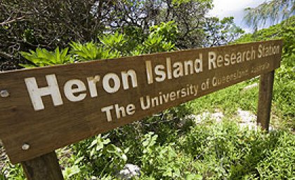 Heron Island Heron Island