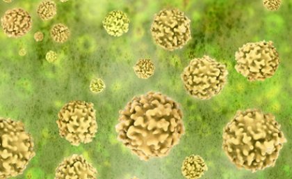 Gonorrhoea is a bacterial infection with similar characteristics to chlamydia. Gonorrhoea is a bacterial infection with similar characteristics to chlamydia.