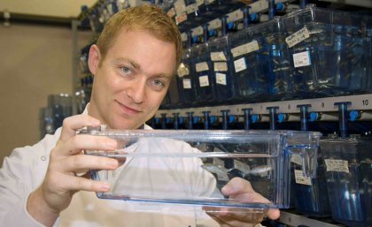 The University of Queensland's Dr Ben Hogan with the zebrafish that carries the Pkd1 mutation. The University of Queensland's Dr Ben Hogan with the zebrafish that carries the Pkd1 mutation.