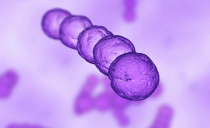 Disease-causing bacterium ... being targeted by Professor Walker Disease-causing bacterium ... being targeted by Professor Walker