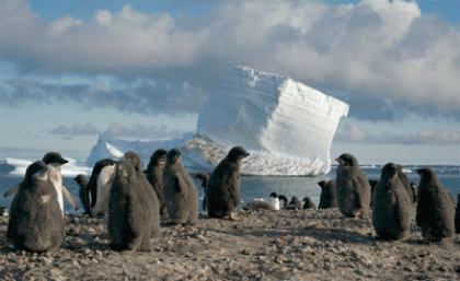 More than 40,000 people visit Antarctica each year