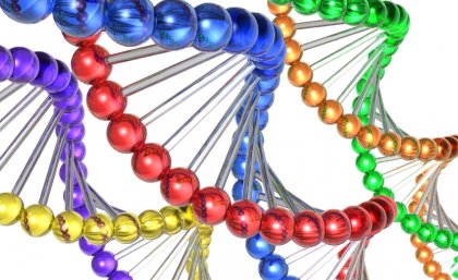 Global leaders in the field of nanobio will gather at UQ in the coming week. Global leaders in the field of nanobio will gather at UQ in the coming week.