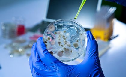 3MT finalists have just three minutes to communicate complicated issues like disease study. 3MT finalists have just three minutes to communicate complicated issues like disease study.
