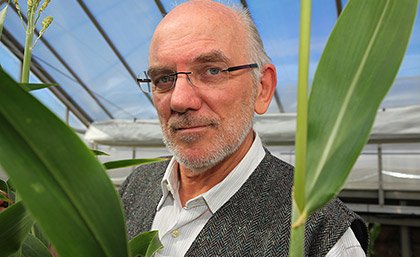 The Queensland node of the centre will be led by Professor Graeme Hammer from UQ’s Queensland Alliance for Agriculture and Food Innovation.