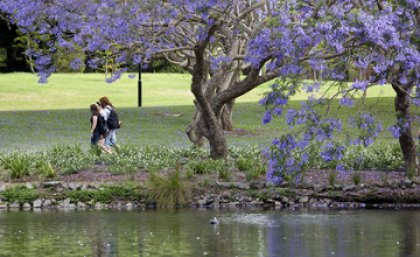 A very strong result for UQ, in a new US-based ranking table