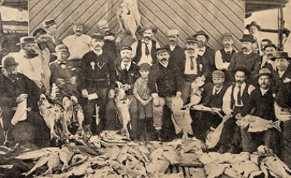 Above: Nineteenth century recreational fishers would regularly catch hundreds of fish off the coast of Queensland, often in just a few hours of fishing (Photo: T. Welsby, 1905)