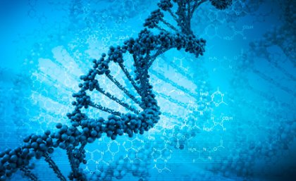 A UQ clinical trial will focus on the connection between diet and how genes are controlled. Source: iStock.