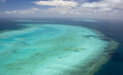 Coral reefs around Heron Island on the Great Barrier Reef