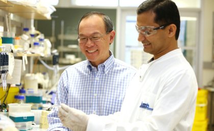 Professor Alpha Yap (left) has received $200,000 in funding from the Cancer Council Queensland for breast cancer research