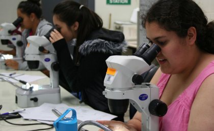 School students learning about science careers at an InspireU camp at UQ in 2014 