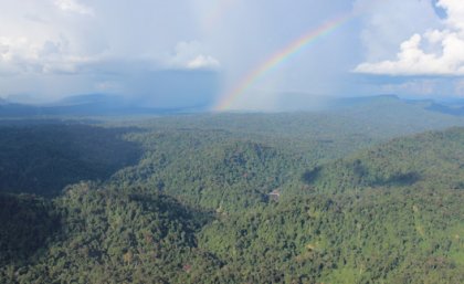 Extensive areas of forest still remain in Borneo, but their protection needs to be considered in the context of other land uses
