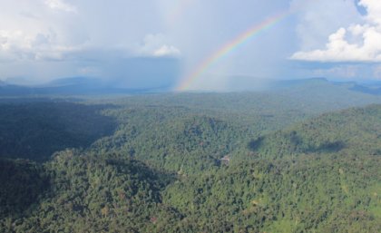Extensive areas of forest still remain in Borneo, but their protection needs to be considered in the context of other land uses Extensive areas of forest still remain in Borneo, but their protection needs to be considered in the context of other land uses