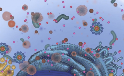 Inflammasome animation.