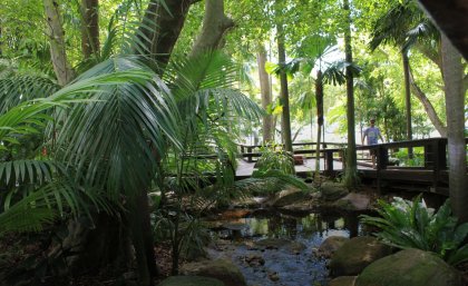 Southbank's Rain Bank in Brisbane