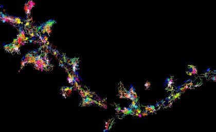 The signalling protein Fyn moving and forming clusters in living brain cells - viewed using super-resolution microscopy