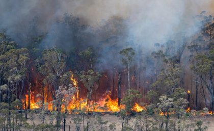 Fire burns through a stretch of Australian bush.