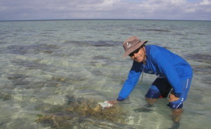 Professor Justin Marshall discovered the world's most complex colour vision system, in mantis shrimp