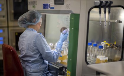 A lab scientist pipettes vaccine solution