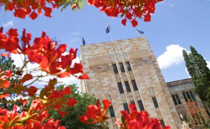 Poinciana tree and sandstone building