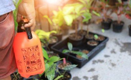 A person holding a spray bottle standing in front of plants at a plant nursery