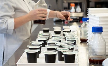 Small coffee cups on a bench in a lab. A person wearing a lab coat is holding a bottle of coffee.