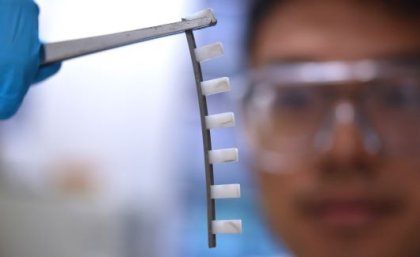 Animal-inspired liquid metal 'spines' developed by AIBN researchers. Animal-inspired liquid metal 'spines' in focus being held with tweezers with a researcher wear safety goggles in the background.