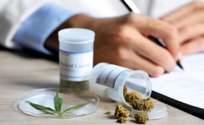 Doctors handwriting a prescription with dried medicinal cannabis.