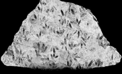 a black and white image of marks on a rock